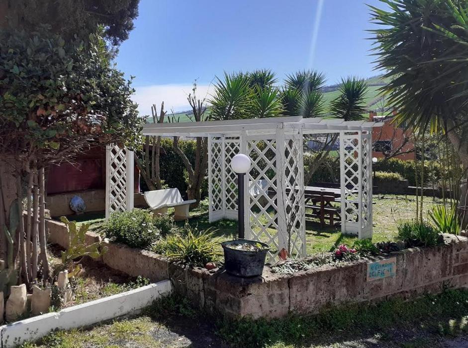 Pier Delle Vigne B&B Pineto Luaran gambar