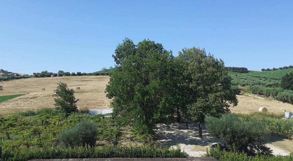 Pier Delle Vigne B&B Pineto Luaran gambar