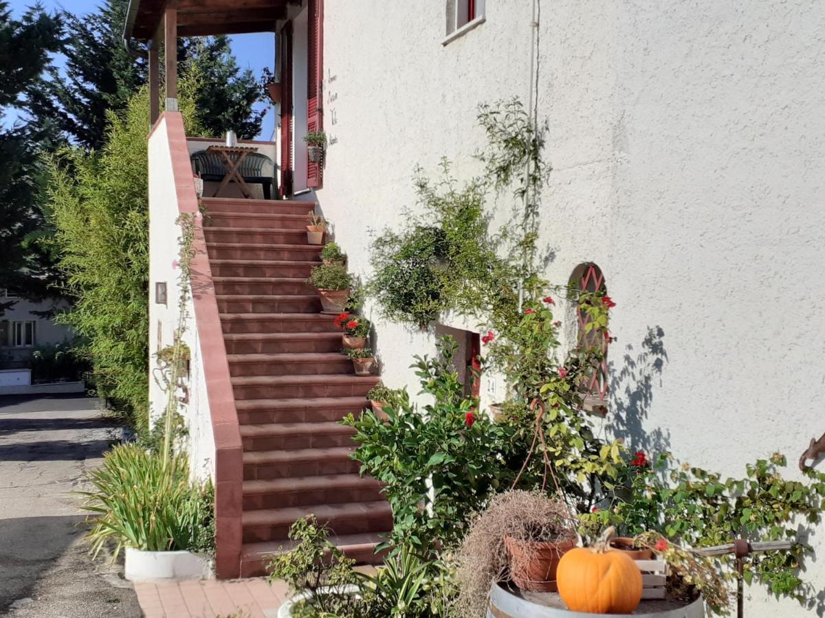 Pier Delle Vigne B&B Pineto Luaran gambar
