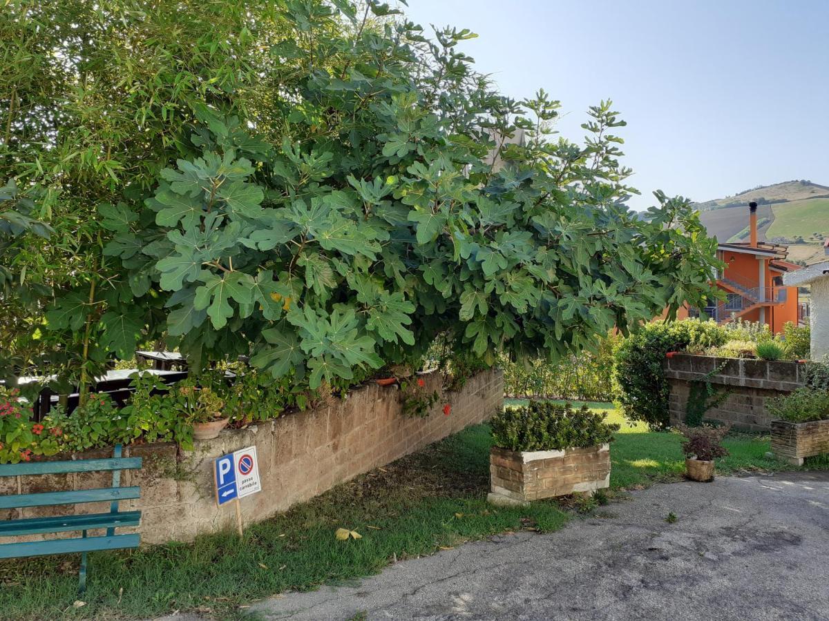 Pier Delle Vigne B&B Pineto Luaran gambar