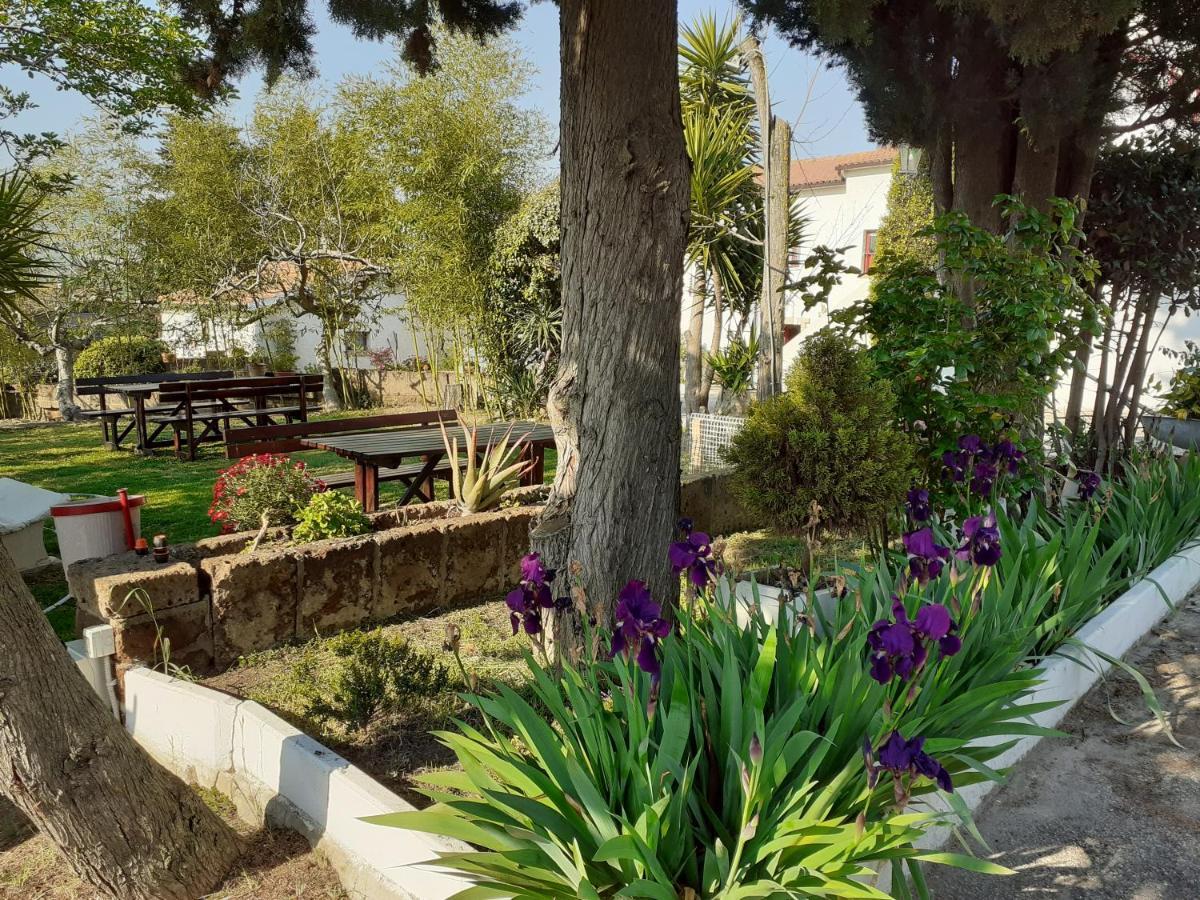 Pier Delle Vigne B&B Pineto Luaran gambar