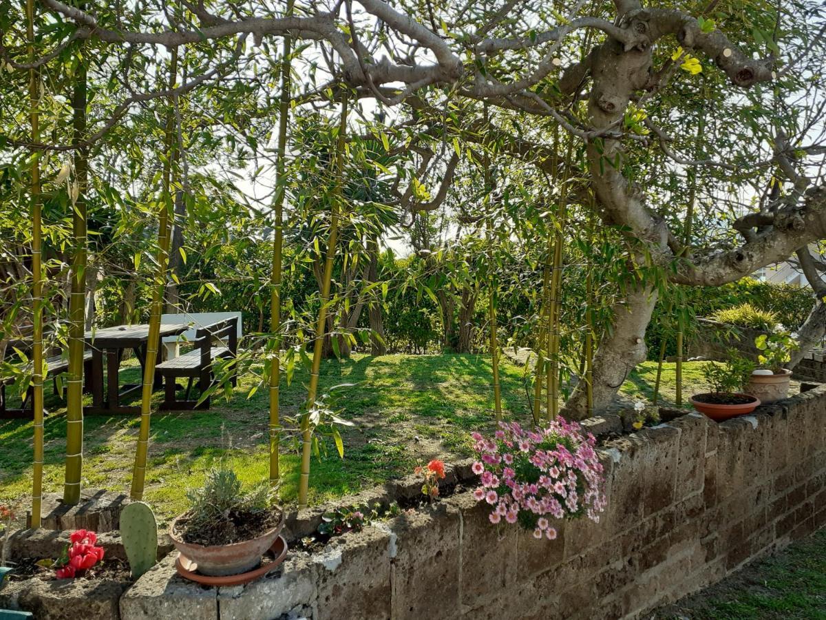Pier Delle Vigne B&B Pineto Luaran gambar