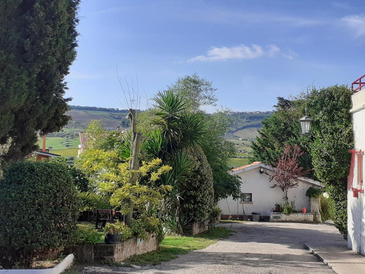 Pier Delle Vigne B&B Pineto Luaran gambar