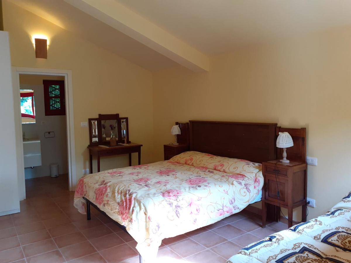 Pier Delle Vigne B&B Pineto Luaran gambar