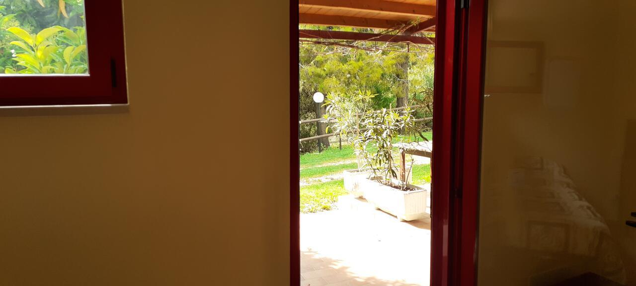 Pier Delle Vigne B&B Pineto Luaran gambar