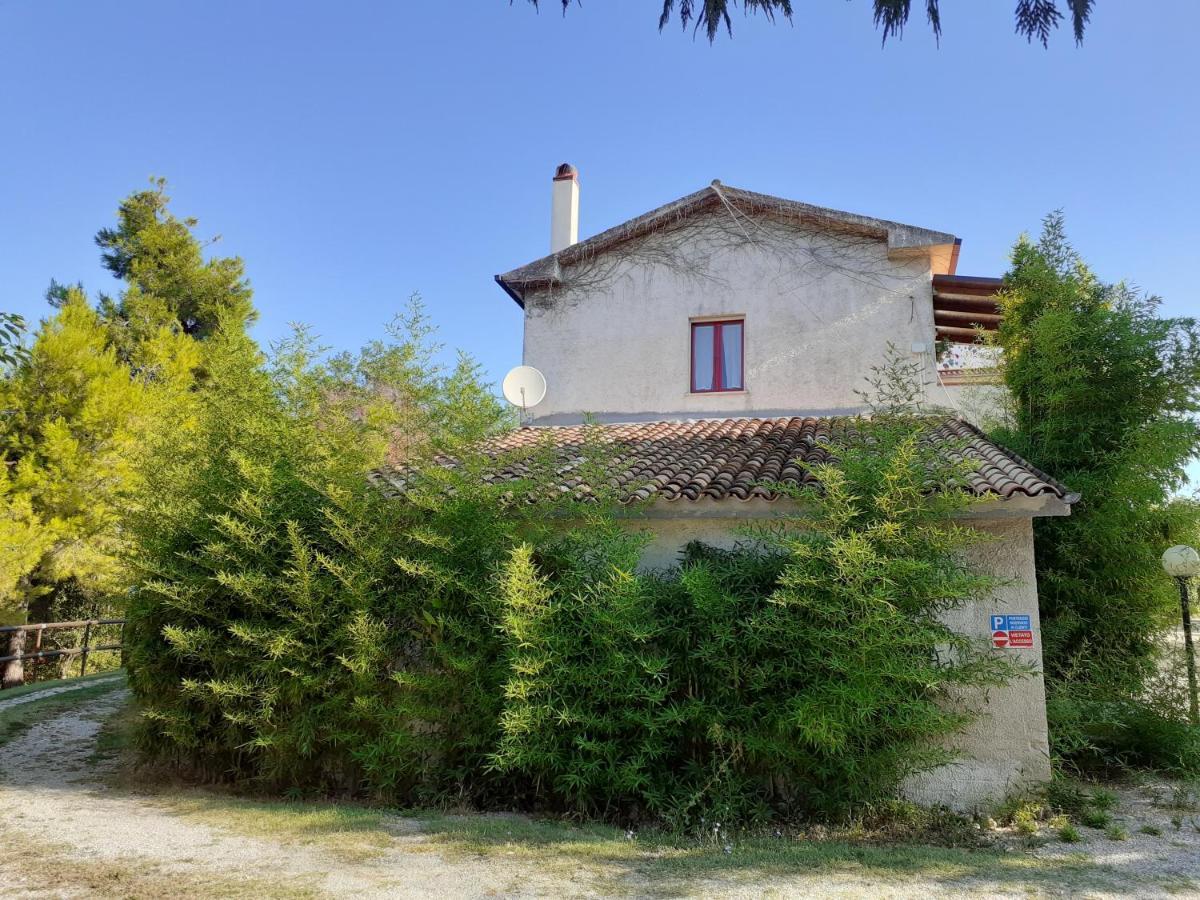Pier Delle Vigne B&B Pineto Luaran gambar