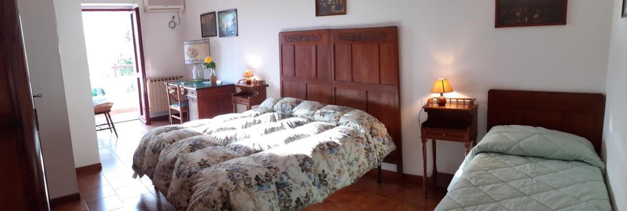 Pier Delle Vigne B&B Pineto Luaran gambar